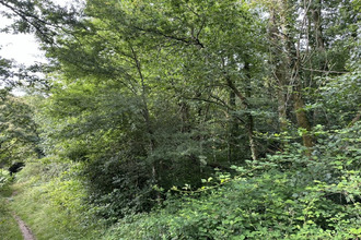  terrain st-senoux 35580