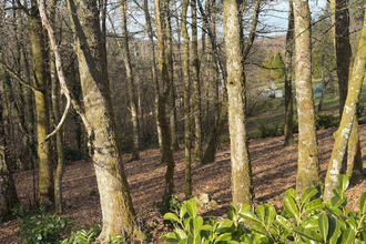  terrain st-sylvestre 87240