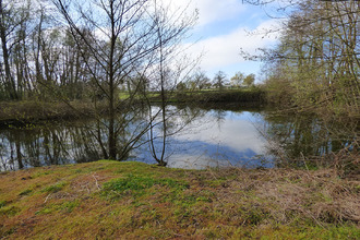  terrain st-trivier-de-courtes 01560