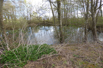  terrain st-trivier-de-courtes 01560