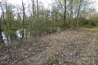  terrain st-trivier-de-courtes 01560