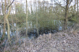  terrain st-trivier-de-courtes 01560