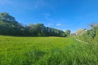  terrain st-vit 25410