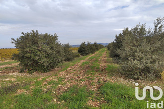  terrain ste-cecile-les-vignes 84290