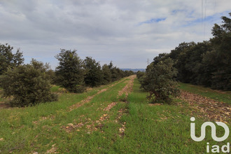  terrain ste-cecile-les-vignes 84290