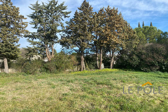  terrain ste-cecile-les-vignes 84290