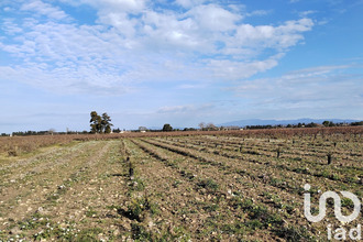  terrain ste-cecile-les-vignes 84290
