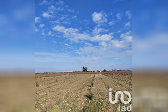  terrain ste-cecile-les-vignes 84290