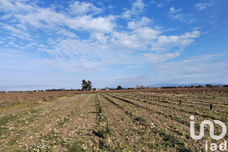  terrain ste-cecile-les-vignes 84290