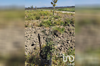  terrain ste-cecile-les-vignes 84290