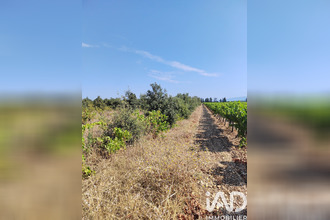  terrain ste-cecile-les-vignes 84290