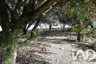  terrain ste-cecile-les-vignes 84290