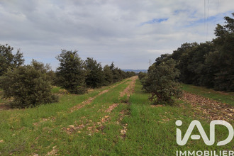  terrain ste-cecile-les-vignes 84290