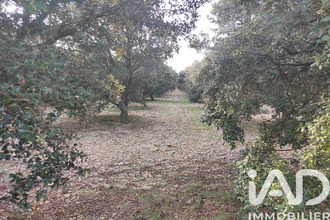  terrain ste-cecile-les-vignes 84290