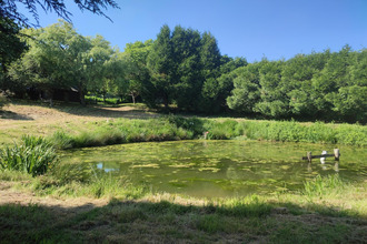  terrain ste-gemmes-le-robert 53600