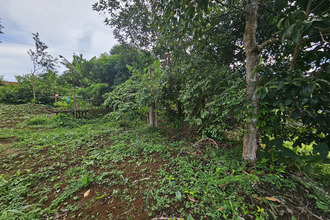  terrain ste-marie 97230