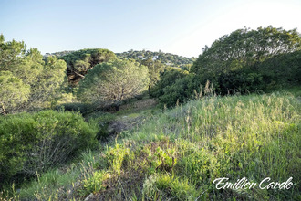  terrain ste-maxime 83120