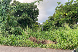  terrain ste-rose 97115