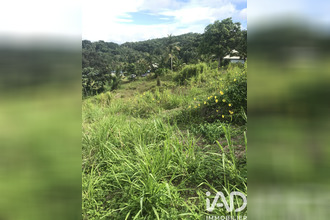  terrain ste-rose 97115