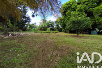  terrain ste-rose 97115