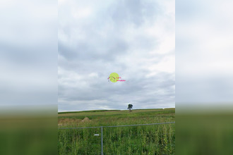  terrain steinseltz 67160