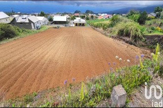  terrain tampon 97418