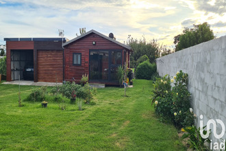  terrain tampon 97418