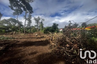  terrain tampon 97418