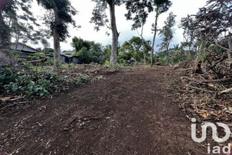  terrain tampon 97418