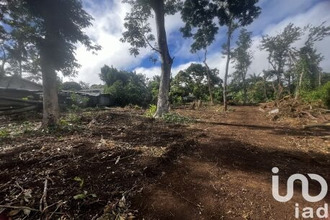  terrain tampon 97418