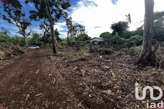  terrain tampon 97418