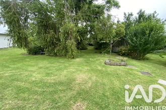  terrain tampon 97418