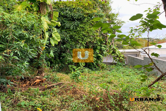  terrain tampon 97430