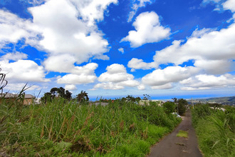  terrain tampon 97430