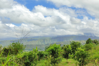  terrain tampon 97430