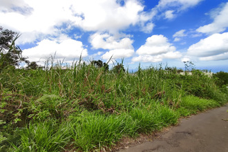  terrain tampon 97430