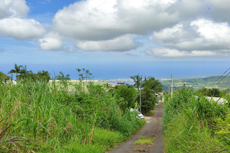  terrain tampon 97430