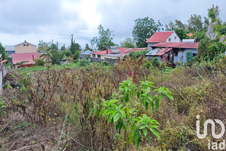  terrain tampon 97430