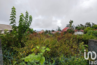  terrain tampon 97430