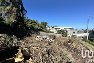  terrain tampon 97430