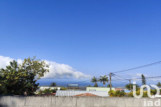  terrain tampon 97430