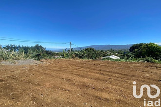  terrain tampon 97430