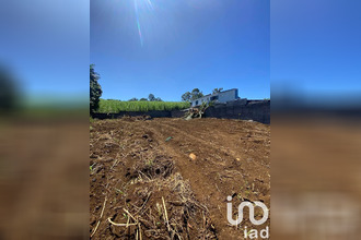  terrain tampon 97430