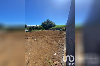  terrain tampon 97430