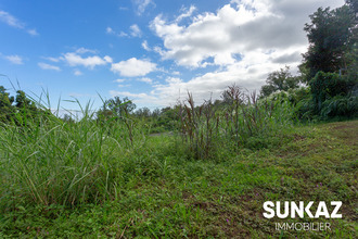  terrain tampon 97430