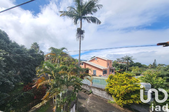  terrain tampon 97430