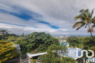  terrain tampon 97430