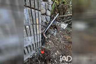  terrain tampon 97430