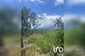  terrain tampon 97430