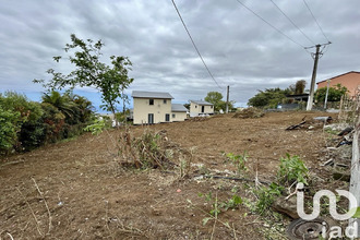  terrain tampon 97430